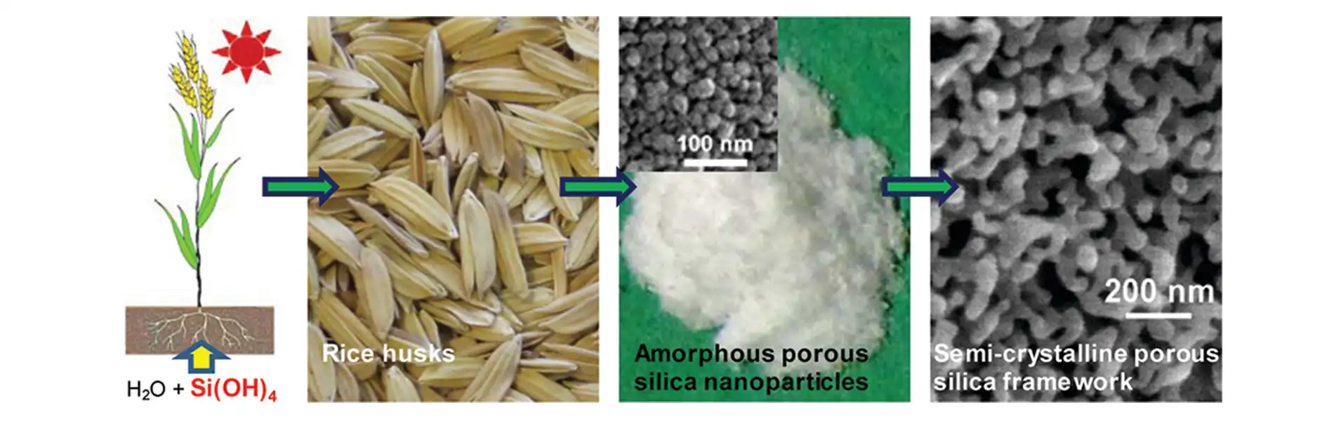 Bio-Derived Materials