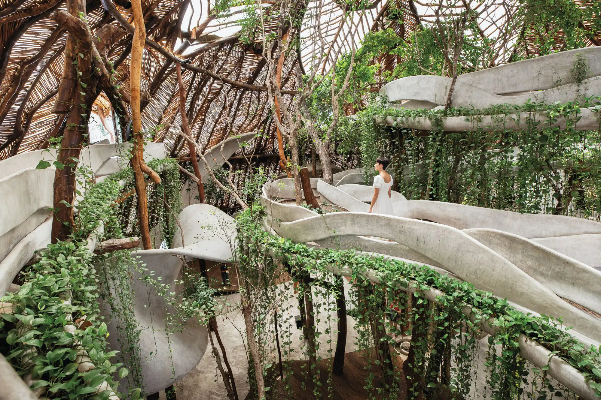 BIOPHILIC DESIGNS